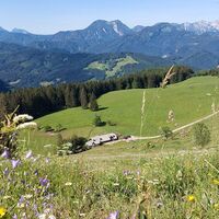 Gschwendtalm vom Gamsstein
