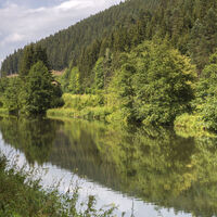 Idylle am Bachlauf