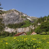 Alp Walabütz