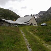 Alp Prünella