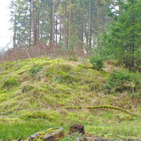 Bewachsener Erdhügel am NORDPFAD Hinzel