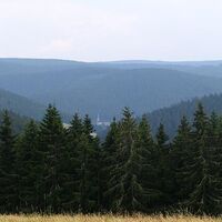 Das Schwarzwälder Mittelgebirge - sanft geformte Bergrücken.