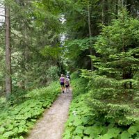 Wildschönau Thierbach Koglweg