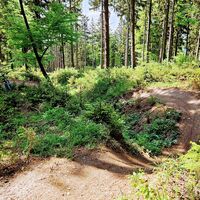 3.3 km Schwierige Stelle mit Chickentrail links
