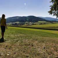 Aussicht vom Sippenkogel in der Oststeiermark