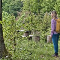 Rastplatz am Buchkogel