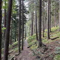 .. sehr stimmig das Dahinwandeln hier!