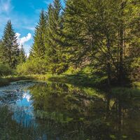 Kirchdorf_Kaiserkrone_Etappe 4_Wilder Kaiser