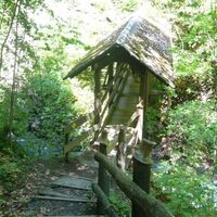 Idyllische Holzbrücke