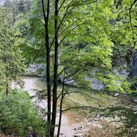 .. Spielplatz zum Staudammbauen (Vorsicht bei Hochwasser ;)