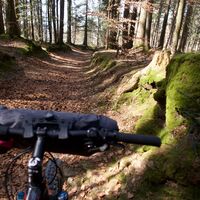 Weg vor Pfad -  Rund ums Guggershorn