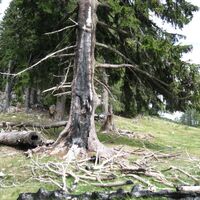 Zell-Pfarre - Waidisch