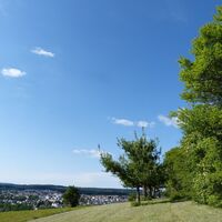 Auf dem Galgenberg