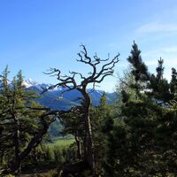 freienstein-runde über kunagrün_img_11220428