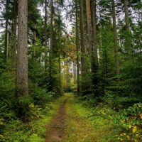 Die schmalen Wanderpfade sind purer Wandergenuss