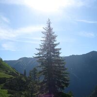 Breitlahnhütte - Preintalerhütte