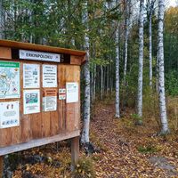 Erkin poloku, Kajaani