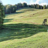 Wir genießen den Rückweg auf dem weichen Wiesenweg