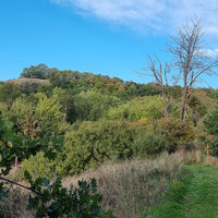 Blick zur Sauerburg-Hütte
