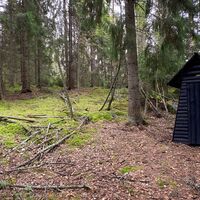 Toilette in der Nähe des Ufers, in ruhiger Lage im Schutz des Waldes.