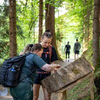 Wildschönau Auffach Holzweg @