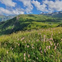 Prodalp - Panüöl - Fursch
