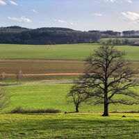 Blick zum Almenscheid