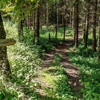 Ausstieg vor der Burg