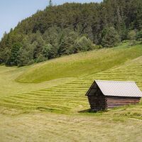 Kulturwanderweg Reith im Sommer_Wiesenweg mit Stadl bei Leithen.jpg
