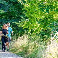 Der Weg ist das Ziel (c) TV Region Graz-Mias PhotoArt