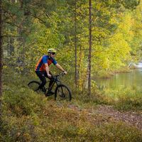 Strandpfad am Matkalampi Trail