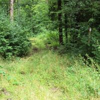 Salzgitter Höhenzug, Wanderweg 25 Schlussanstieg