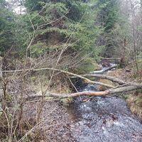 Bachlauf am E2