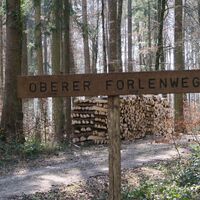 Wegweiser Oberer Forlenweg