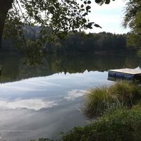 Trattnigteich mit Blick nach SW - ein Ort der Beschaulichkeit