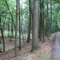 Eindrücke durch den Klötzer Forst auf der Wildschweinroute
