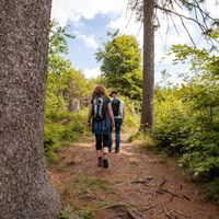 Wanderer auf dem Hilskammweg (Gr 1)