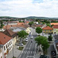 Über's Leithagebirg