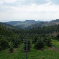 Ausblick beim Nonnersdorfer Kreuz