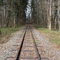 Auen-Trail - Steyr Unterhimmler Au