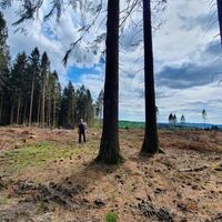 Wandern - Mescheder Höhenwanderweg