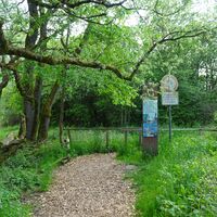 Fußweg mit Infotafel zum Naturschutzgebiet