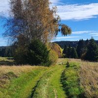 Wiesentrail zu Helfersberger Hütte