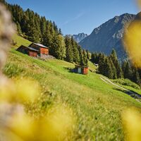 Bergmahderweg Sommer