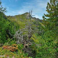 Der erste Blick zum kleinen Salzkofel