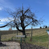 Wunderwanderweg Rastplatz