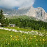Vigo - Ciampedie - Gardeccia ©Archivio APT Val di Fassa