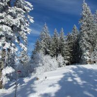 vor Wasserscheide - Winterwanderung Selibüel