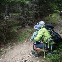 Findet ihr alle versteckten Autschlis?