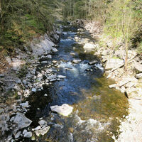 In der Albschlucht.